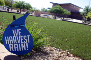 Water Project Lawn Ribbon Cutting City Hall Turf