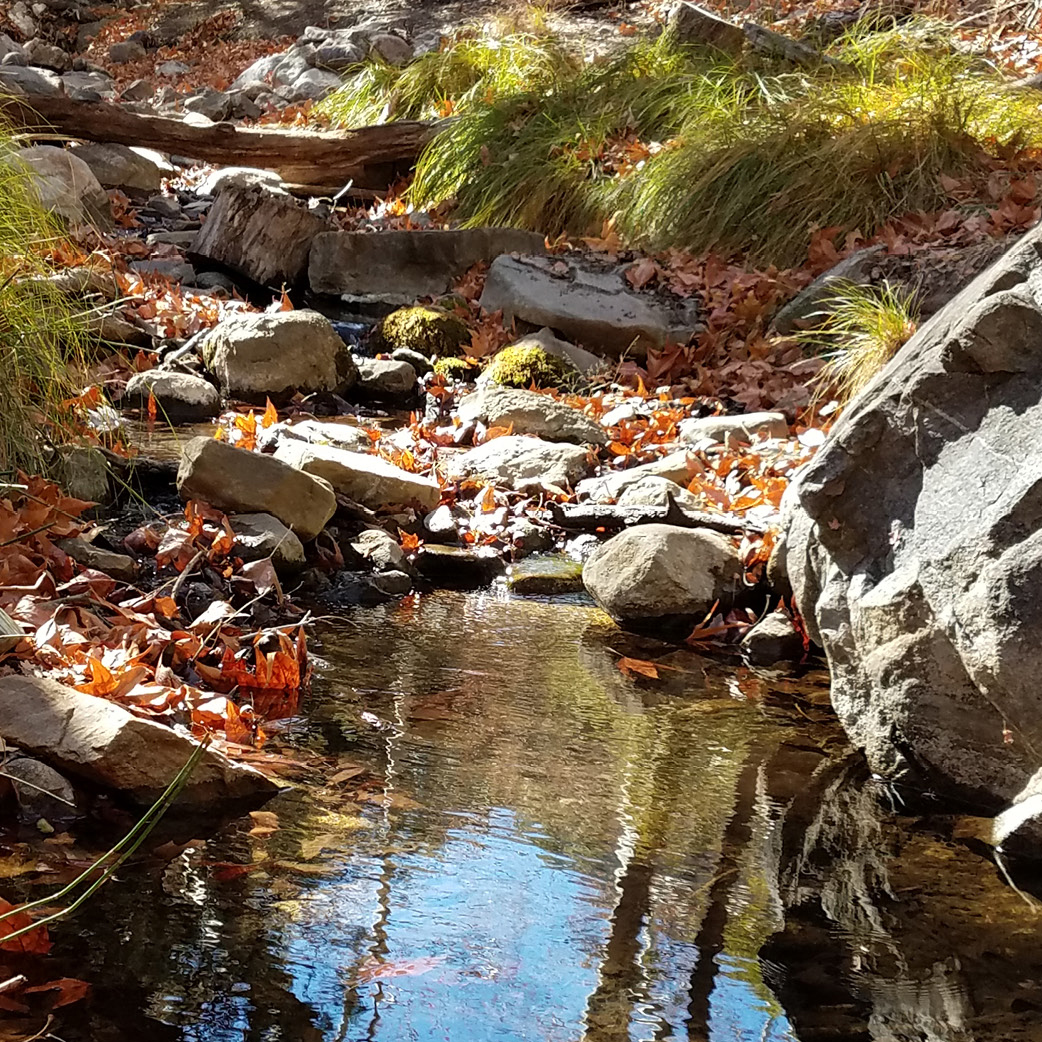 Stream of water