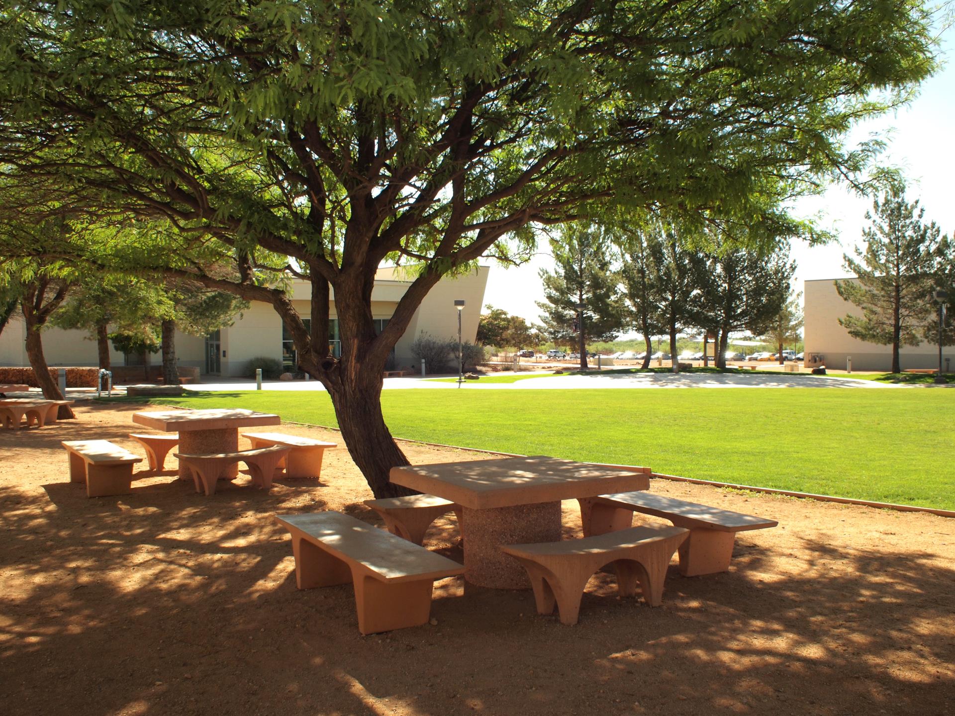 Cochise College