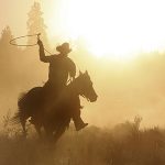 Cowboy on horse roping silohuette.