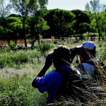 San Pedro River Birders