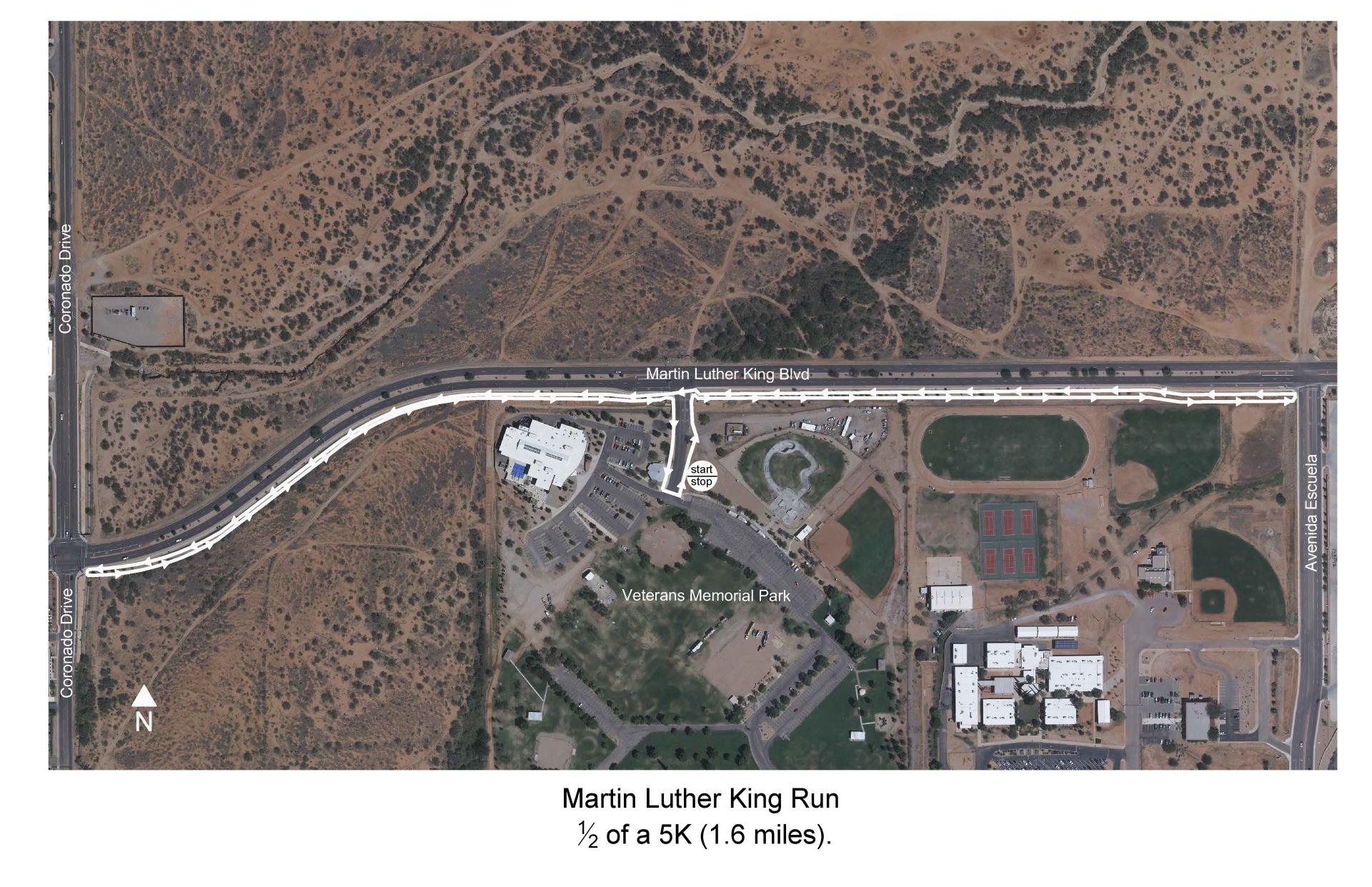 Martin-Luther-King-Run