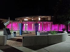 SVPD glows purple DV awareness 5