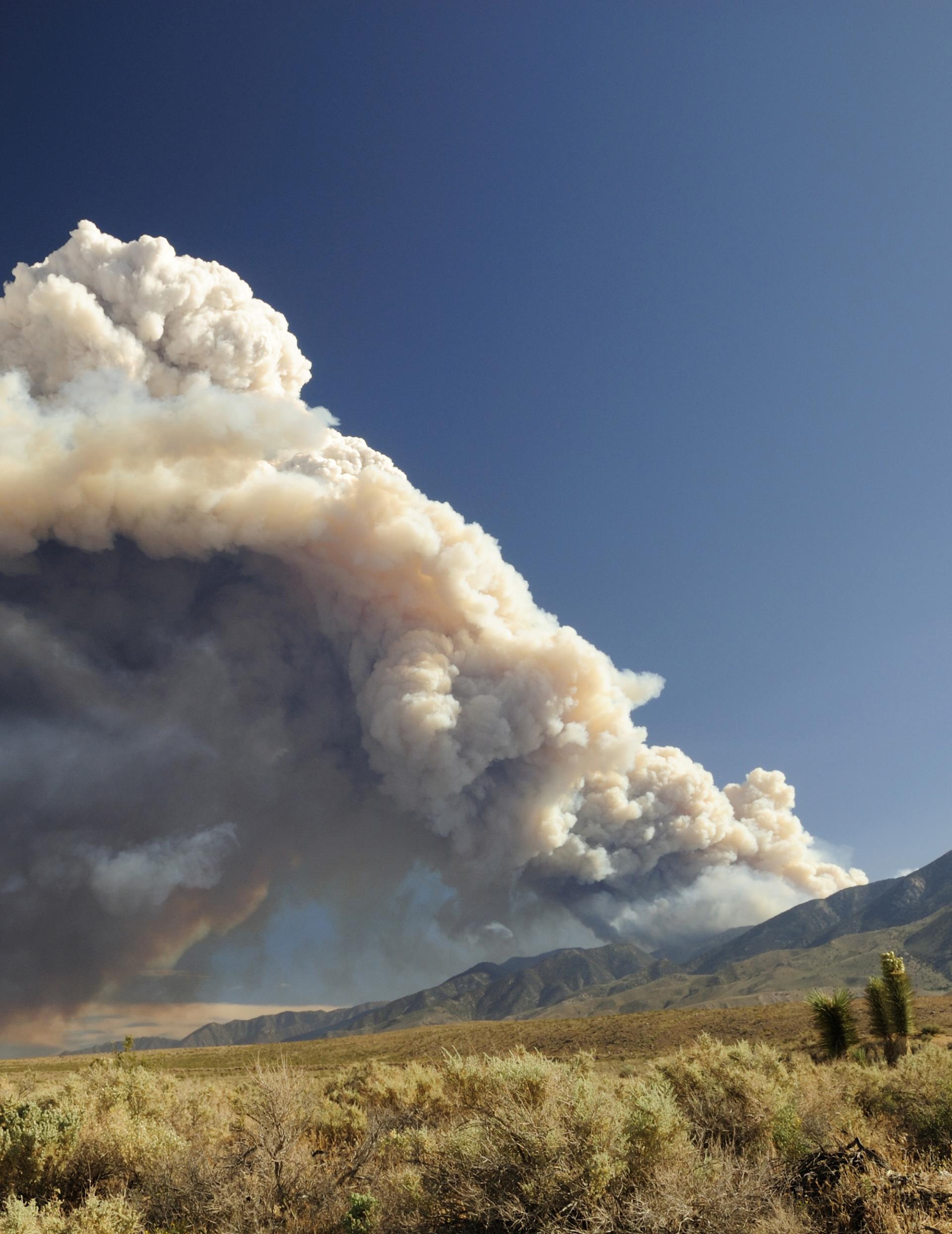 Wildfire smoke desert