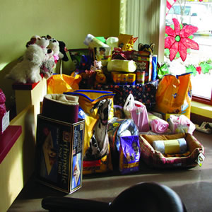 A table full of pet treats