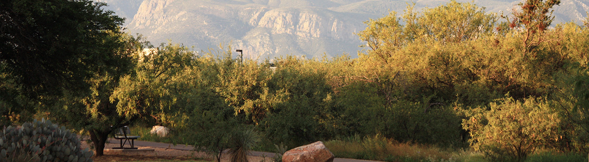 View of a city park with mountains in the background