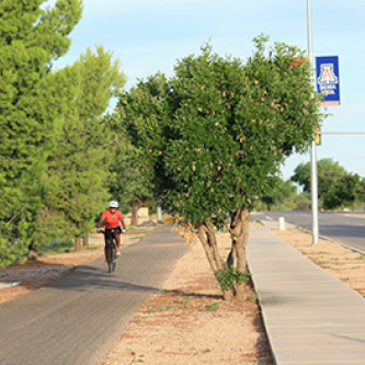 Cyclist riding on a bike path