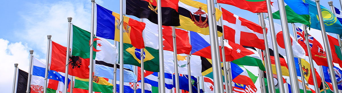 Many international flags on flag poles