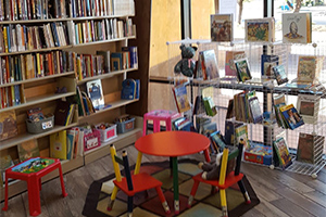 Little-LIbrary-Bookstore